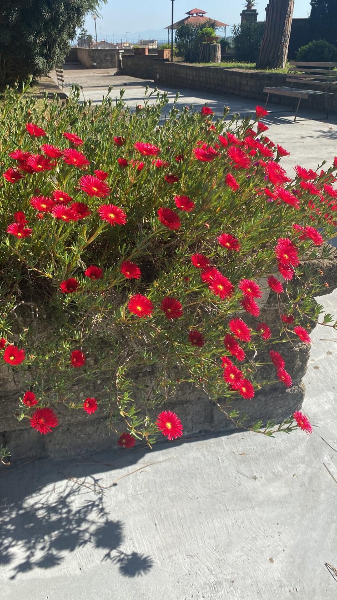 Primavera-1-2022.jpeg