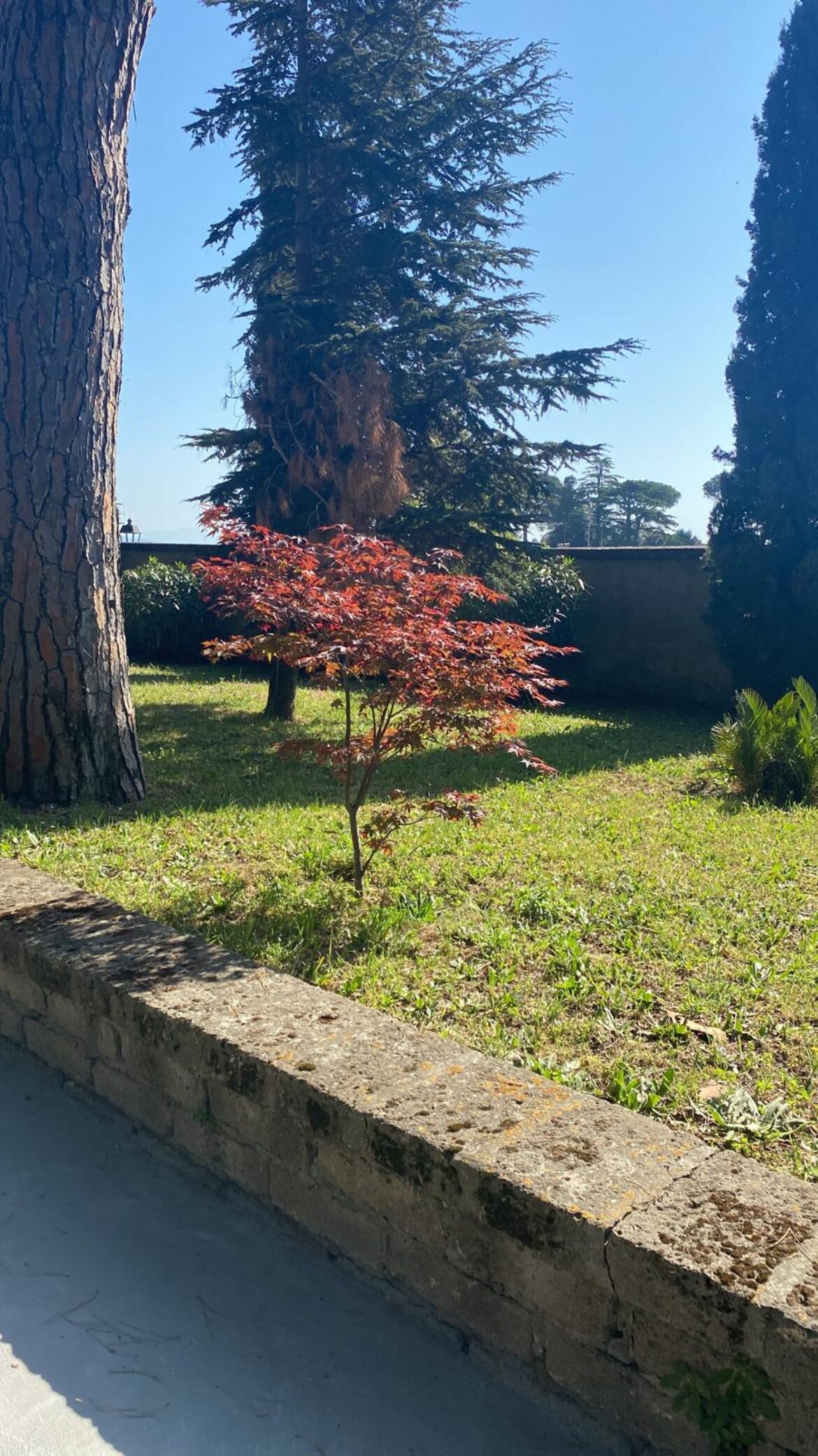 Primavera-2-2022.jpeg