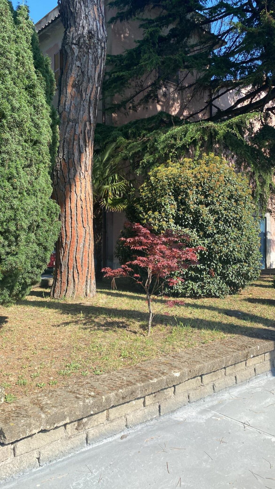 Primavera-3-2022.jpeg