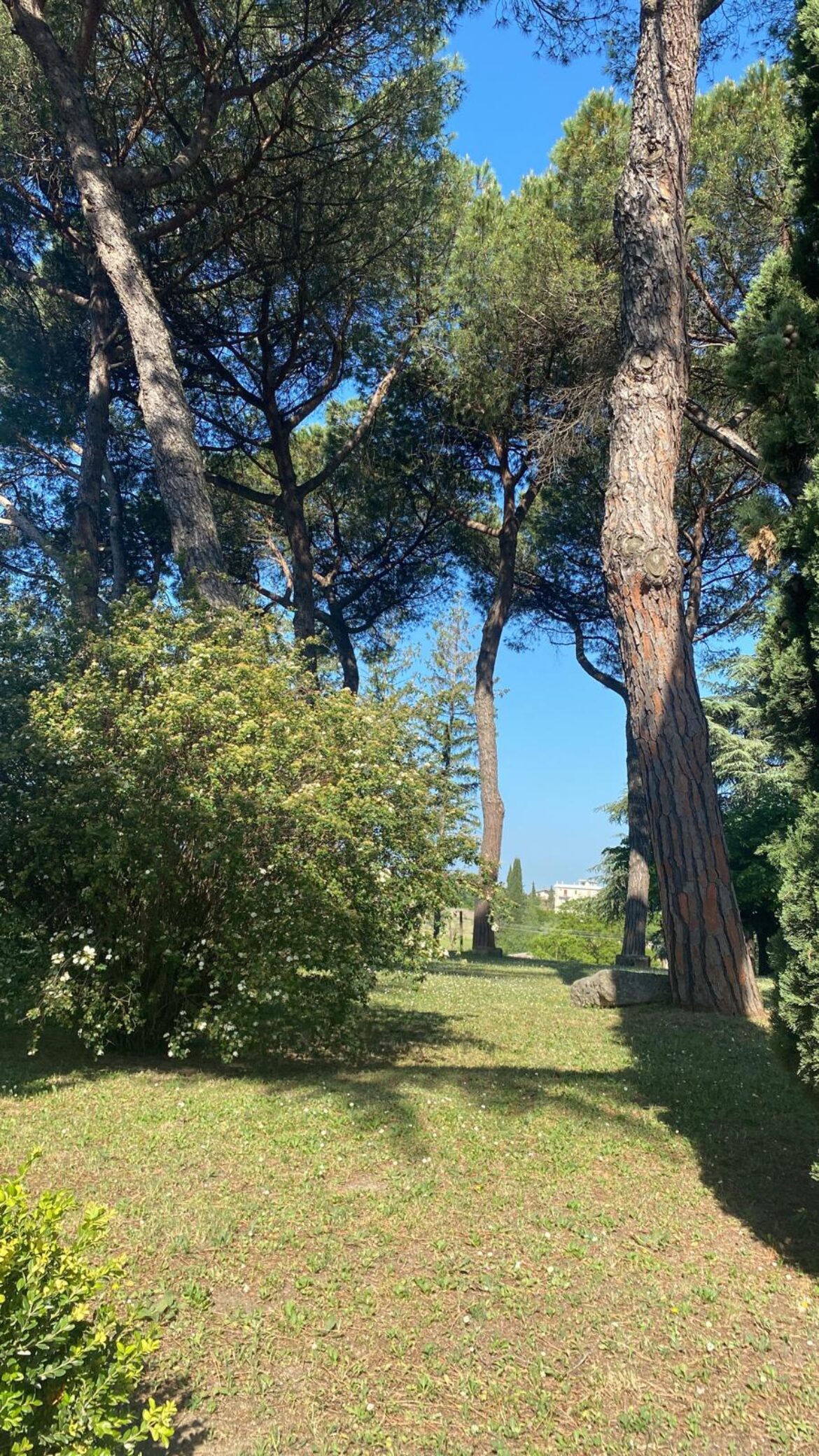 Primavera-4-2022.jpeg